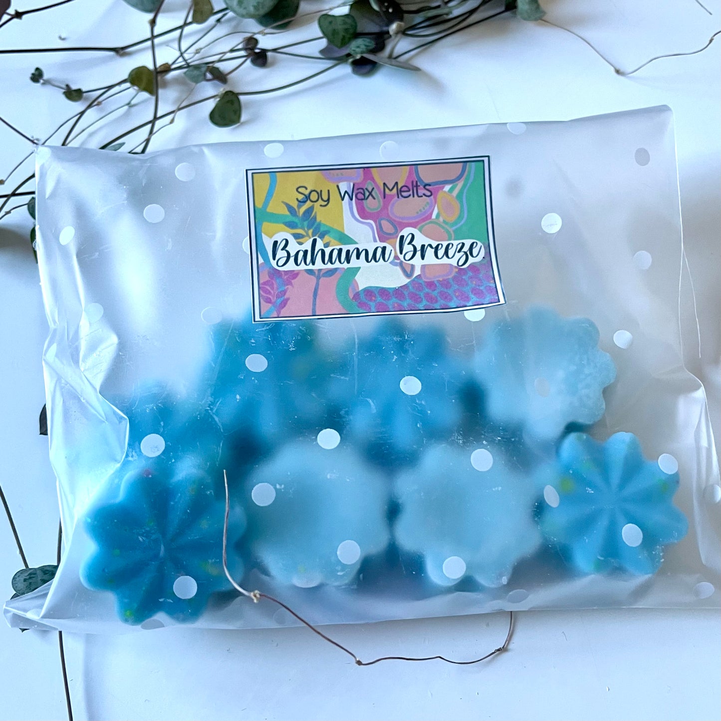 Bahama Breeze handmade soy wax melts